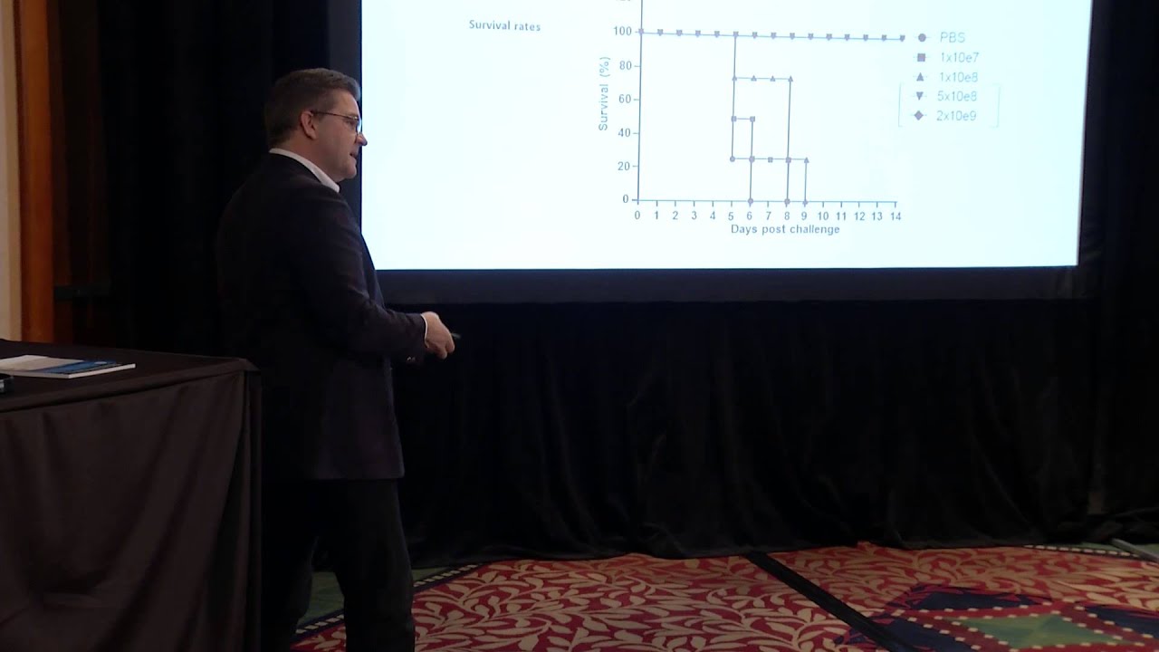 Global version: What makes a Bacillus probiotic effective in livestock production?