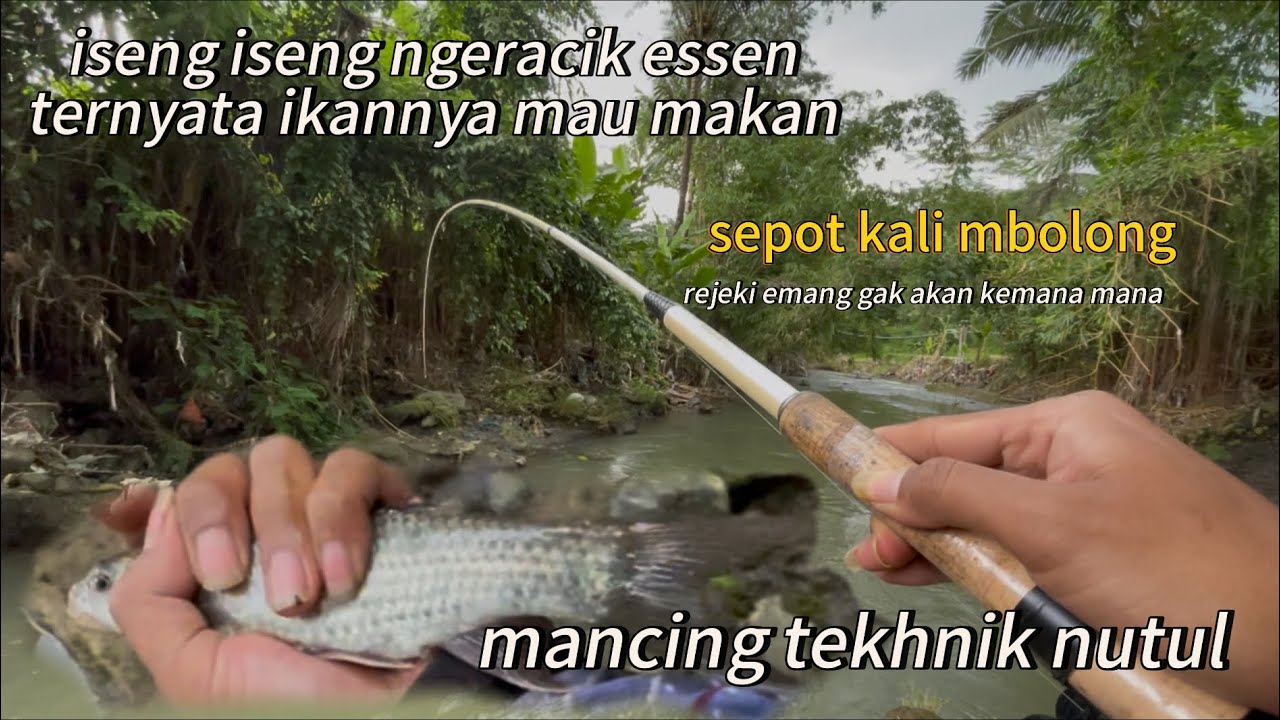 ISENG ISENG NGERACIK ESSEN EH TERNYATA IKANNYA MAU MAKAN.mancing di kali mbolong magelang 