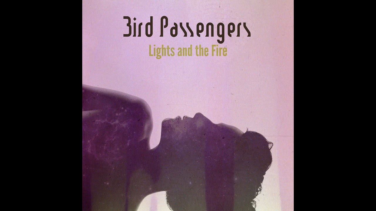 Watch Bird Passengers - Touch and Go on YouTube Watch Bird Passengers - Touch and Go on YouTube