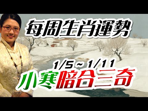 小寒。2025生肖運勢週報｜1/5-1/11｜金玲老師（有字幕）