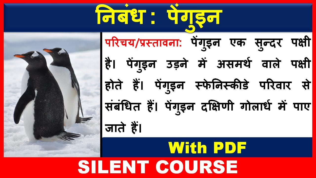 Essay On Penguin In Hindi Penguin Essay In Hindi essay-on-penguin-in-hindi-penguin-essay-in-hindi