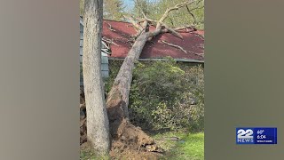 Monson home hit by falling tree, no injuries reported