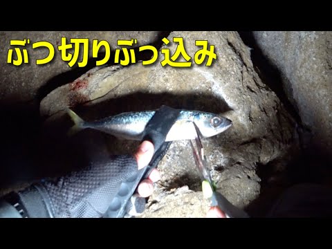 深夜の磯で鯖をぶつ切りにしてぶっ込んだら…