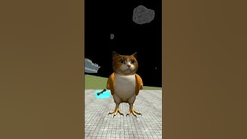 I FOUND MEOWL IN ROBLOX IN SANDBOX IN SPACE #roblox #garrysmod #update