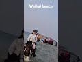 Horse riding #horse #weihai