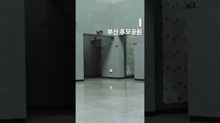 추모공원 영상
