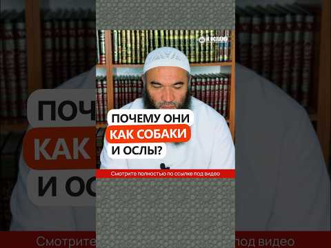 Почему они как собаки и ослы? #Shorts Ринат Абу Мухаммад