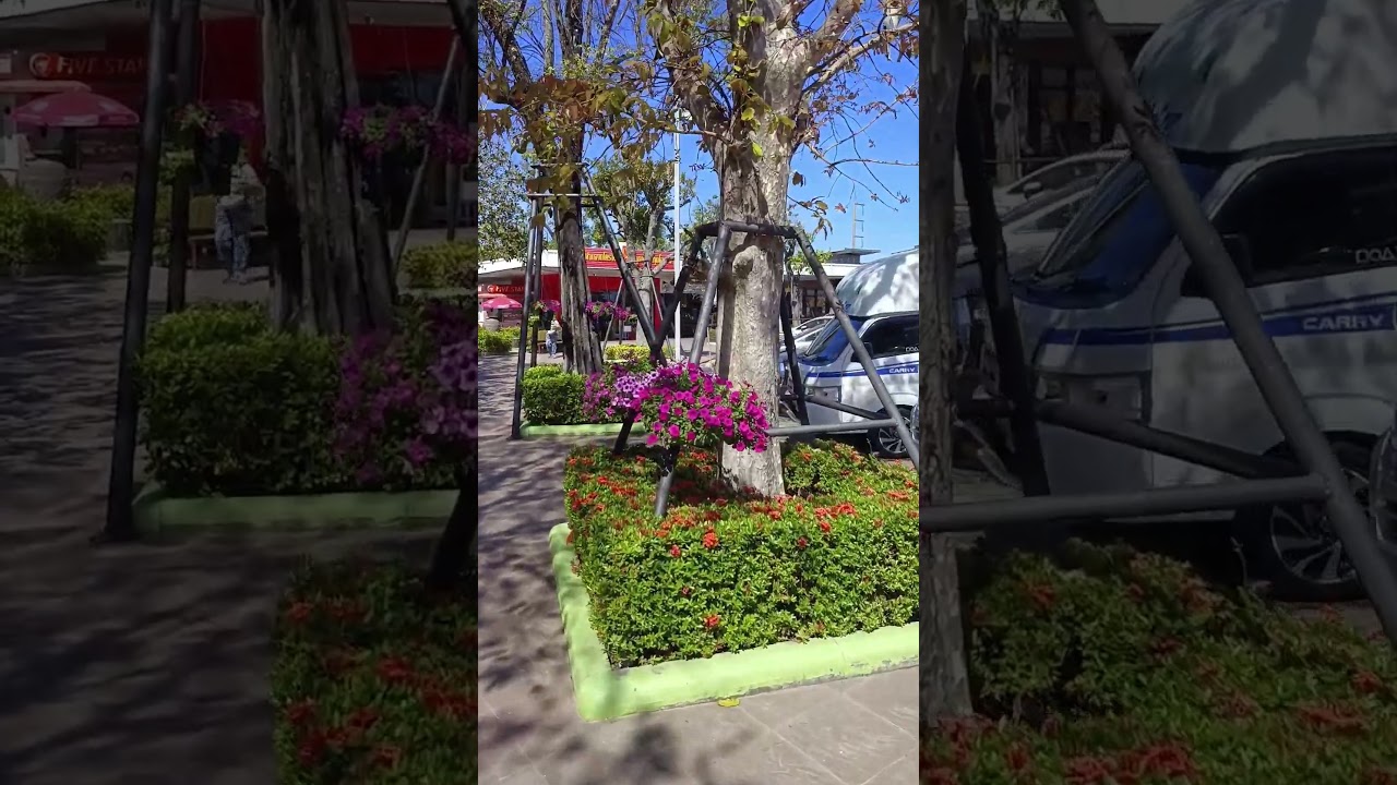 PTT Station on Road 226, Nong Phai, Sisaket Thailand