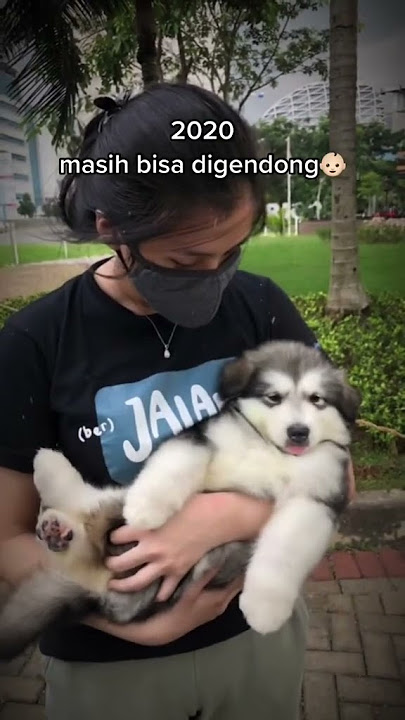 PERBANDINGAN KAORI YANG DULU DAN SEKARANG‼️👀
