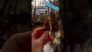 MOST BEAUTIFUL ARROWHEAD Ever Found🤯 #artifacts #viral #fyp #nature #amazing #ancient #viralshorts
