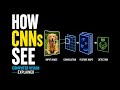 Convolutional Neural Networks CNNs - The Backbone of Computer Vision