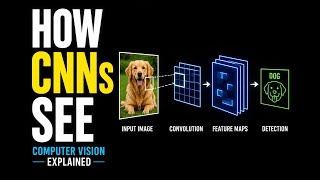 Convolutional Neural Networks CNNs - The Backbone of Computer Vision
