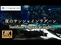 【4K】サンシャイン水族館の夜のサンシャインラグーン Sunshine Lagoon at night in Sunshine Aquarium