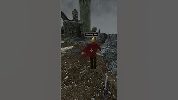 Killing the adoring fan in Morrowind every day until Skywind and Skyblivion are released Day - 710