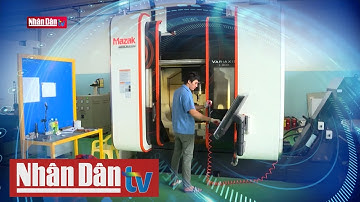 Ứng phó với tác động của thuế tối thiểu toàn cầu | Tâm điểm kinh tế