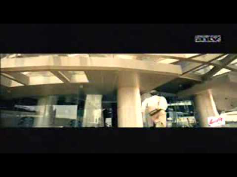 ANTV L A Lights
