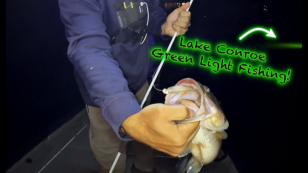 Night Bass Fishing Under Green Lights on Lake Conroe! (After Dark Bite)