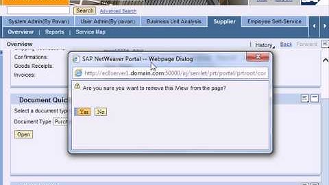 SAP NetWeaver Enterprise Portal Tutorial