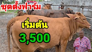 2 ส.ค. 69 สำหรับคนทุนน้อย ชุดสุดคุ้ม !!!