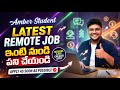 ఇంటి నుండి నుండి వర్క్ చేసుకోవచ్చు | Operations Job |Remote Jobs from Amber Student | This is Vidhey