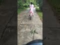chú ếch con