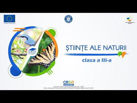 Video: Ce este adaptarea umană?