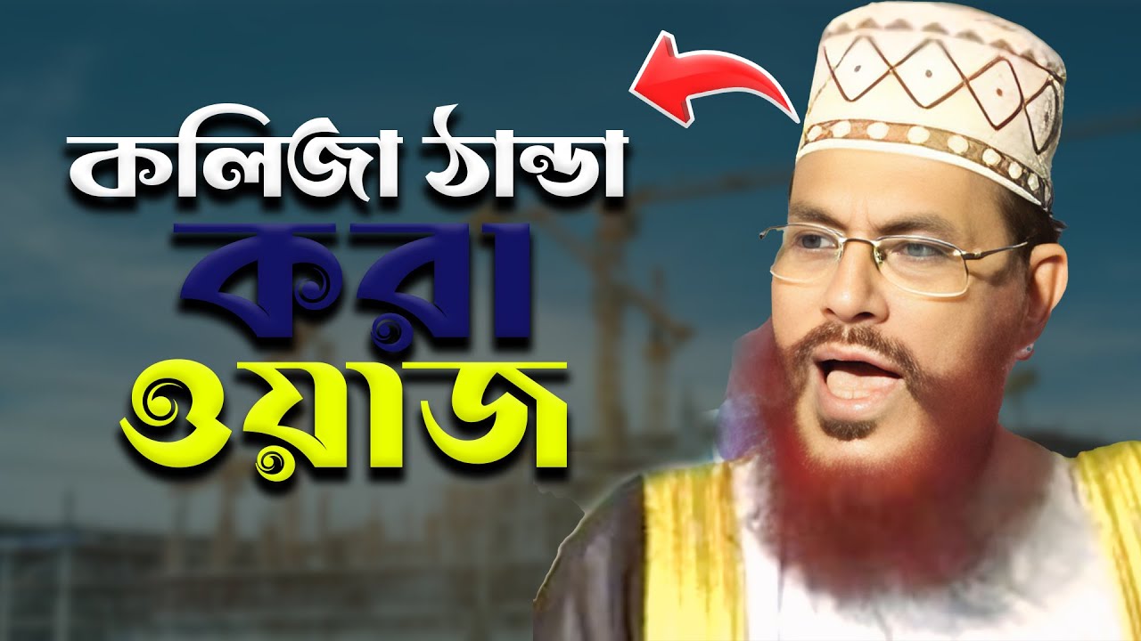 দেলোয়ার হোসেন সাঈদী 🔥কলিজা ঠান্ডা হয়ে যাবে ওয়াজটি শুনেন 🔥 Audio Islam Channel