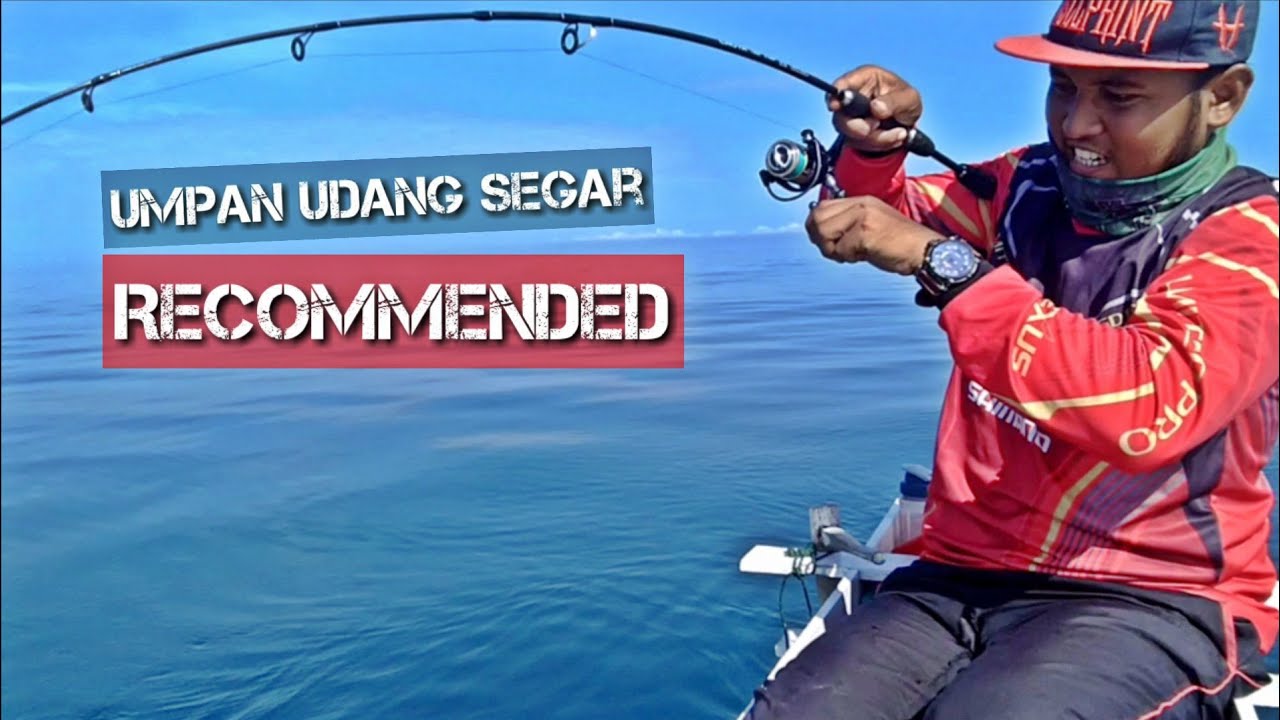 Mancing Di Laut Pagi Hari - Panen Ikan Lamotu