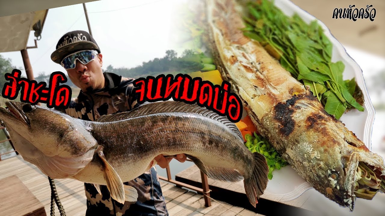 แบ่งทีมล่าชะโด จนหมดบ่อ!!! [หัวครัวทัวร์ริ่ง] EP.96