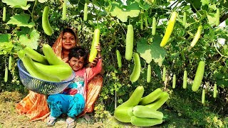 हमारे गाँव की लौकी की ये रेसिपी उँगलियाँ चाटने पर मजबूर कर देगी | VILLAGE ROUTINE IN HINDI