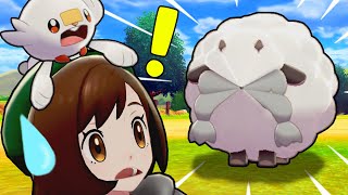 WHAT HAPPENED TO THIS WOOLOO'S FACE?! (Pokemon Sword And Shield Funny Moments)