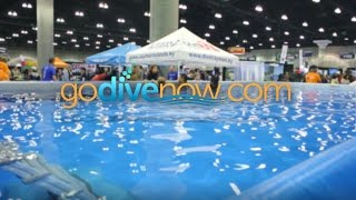 Go Dive Now: Try Diving Now