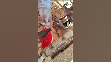 Wood Bead Punching Process-Good machines and tools can improve work efficiency