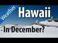 Hawaii Weather in December