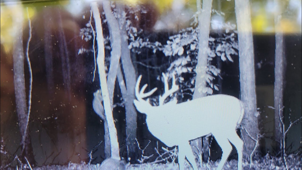 Deer Getting Ready Getting Ready For Deer Season - YouTube