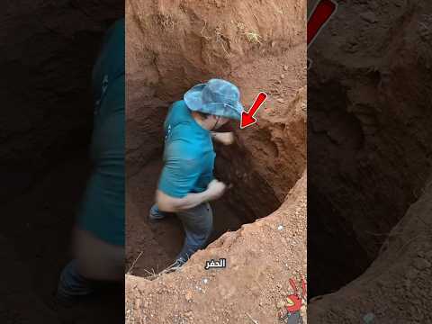 أدم أب اللكمات 