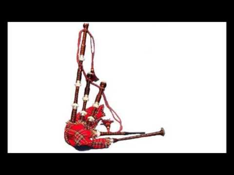 متعب الصقار قربة