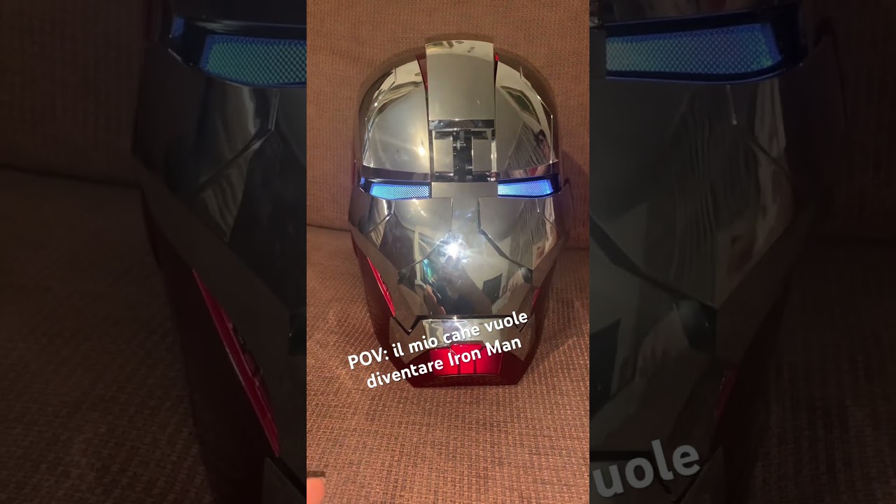 POV: il mio cane vuole diventare Iron Man 