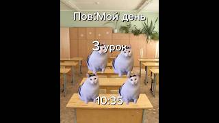 Мой день в реальной жизни #capcut #смешно #котики #ржакадослез