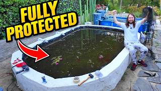 DIY Pond Net Installation | Protecting My Koi Pond from Predators