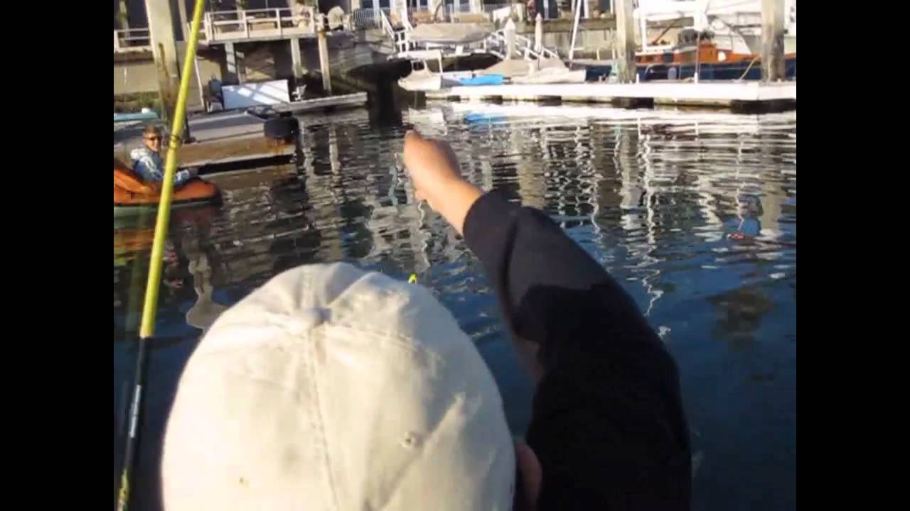 NextGen Bassin: Salty Swimbait