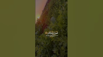 حالات واتساب دينية//قرآن كريم سورة الكوثر💚