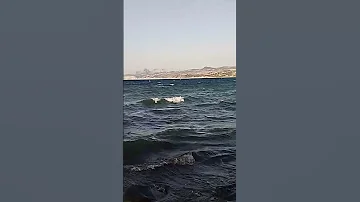 اللهم امين يارب العالمين اكسبلور رب صبرو Cat الرحمن اقنباسات القزابري قطط 