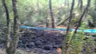 Hellrunner. Hell up north 2011