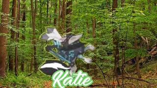 Unwatermarked intro for katiebug!