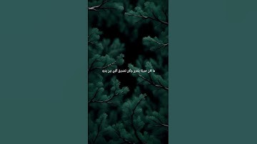 #عبد_العزيز_الراجحي #سورة_يوسف #quran #القرآن_الكريم
