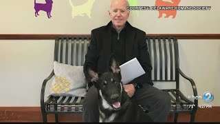 'Indoguration' held for President-Elect Joe Biden's rescue pup