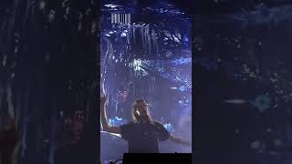 CHARLOTTE DE WITTE TOMORROWLAND WINTER 🎉