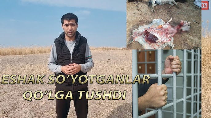 Yalangoch rus qizlari videolarini tomosha qiling