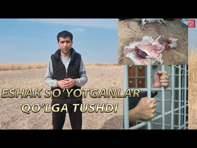 Tarjimalari bilan pornografik multfilmlarni tomosha qiling Egri sochli ayollar fotosuratlari